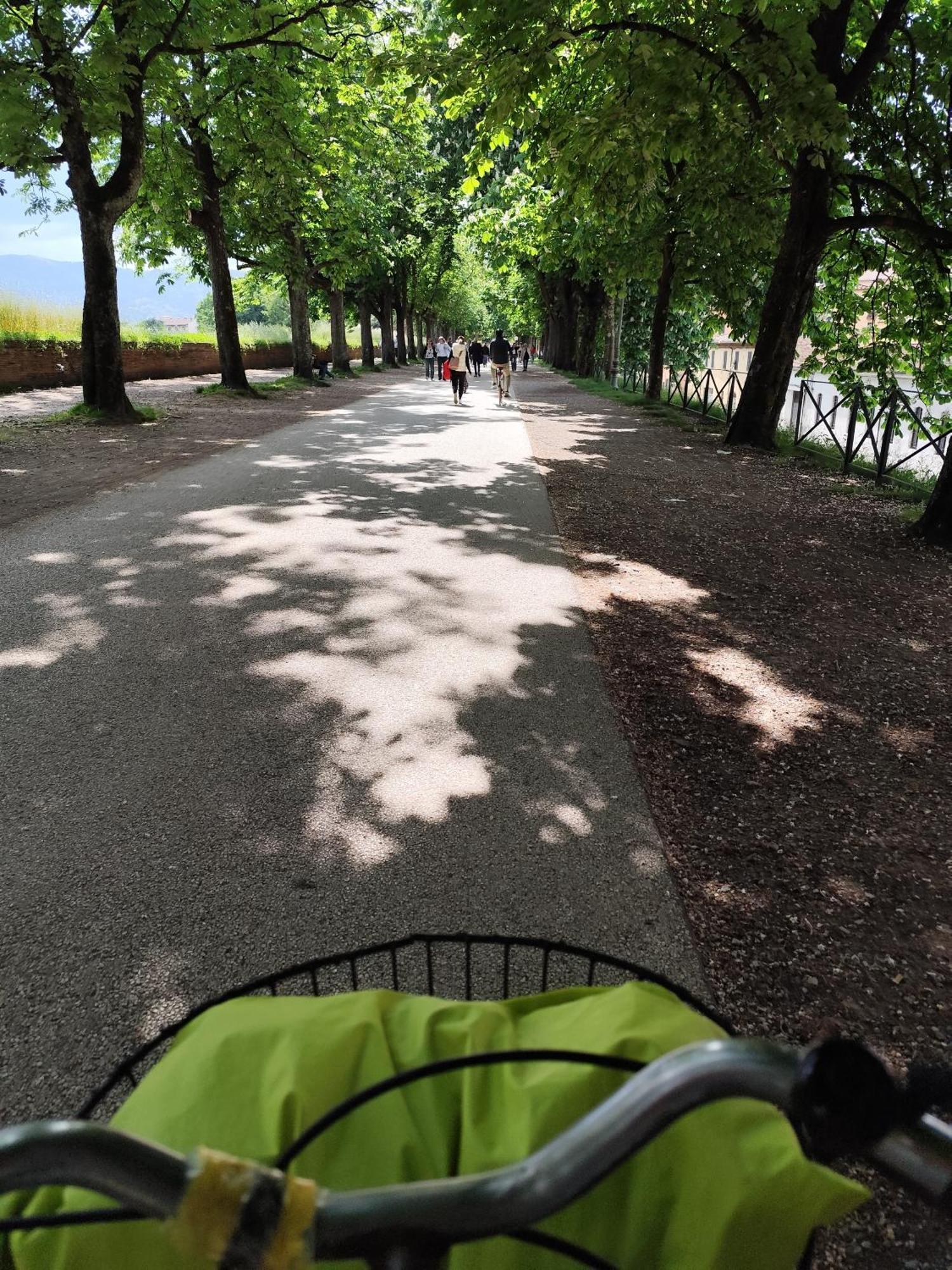 Casa Rosina + Box Per Auto 2 Bici 1,5Km Dalle Mura Lucca Esterno foto